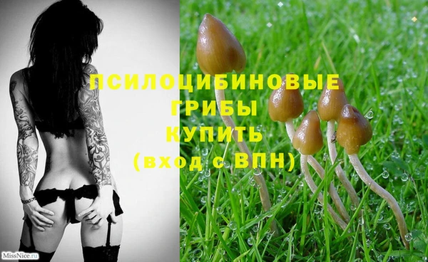 spice Мегион