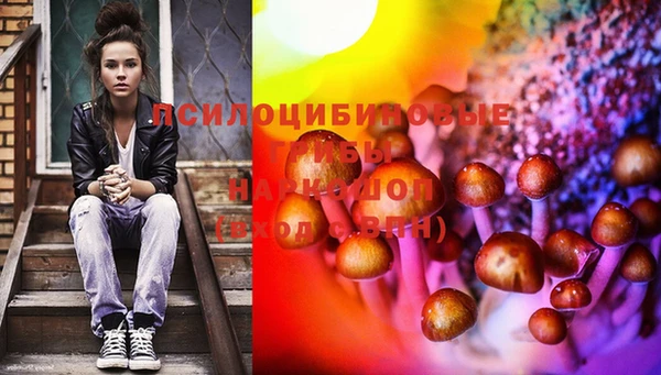 spice Мегион