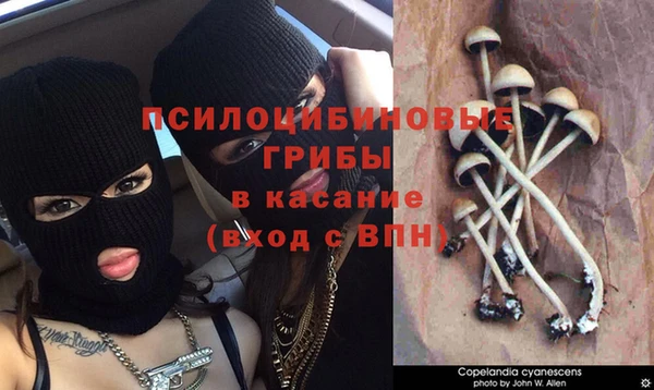 mix Медвежьегорск