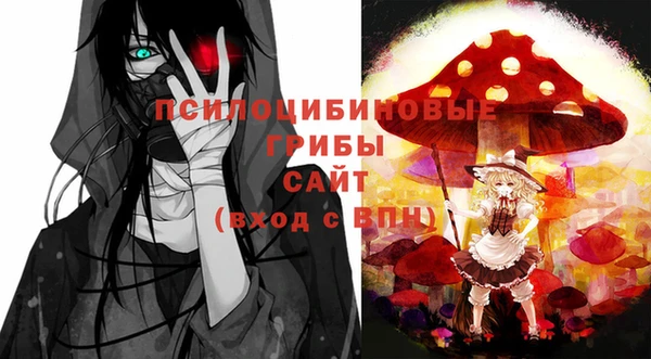 соль курить ск Медногорск