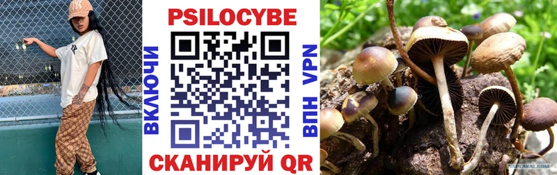 как найти наркотики  Снежногорск  Псилоцибиновые грибы GOLDEN TEACHER 